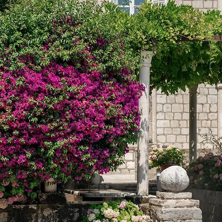 אכסניה The Old Town Hostel-villa Gradac *