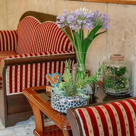 Ostello The Old Town Hostel-villa Gradac *