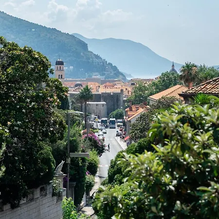 The Old Town Hostel-villa Gradac