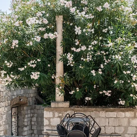 The Old Town Hostel-villa Gradac *